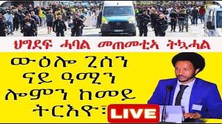 ጸብጻብ ውዕሎ ጊሰን ከመይ ነበረ ኣብ ዝብል መደብ ምስ በየነ ( ዉፉይ)