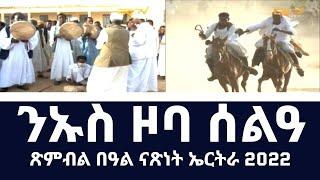 ጽምብል በዓል መበል  31 ናጽነት ኣብ ንኡስ ዞባ ሰልዓ | Independence Day in sub-zone Sela